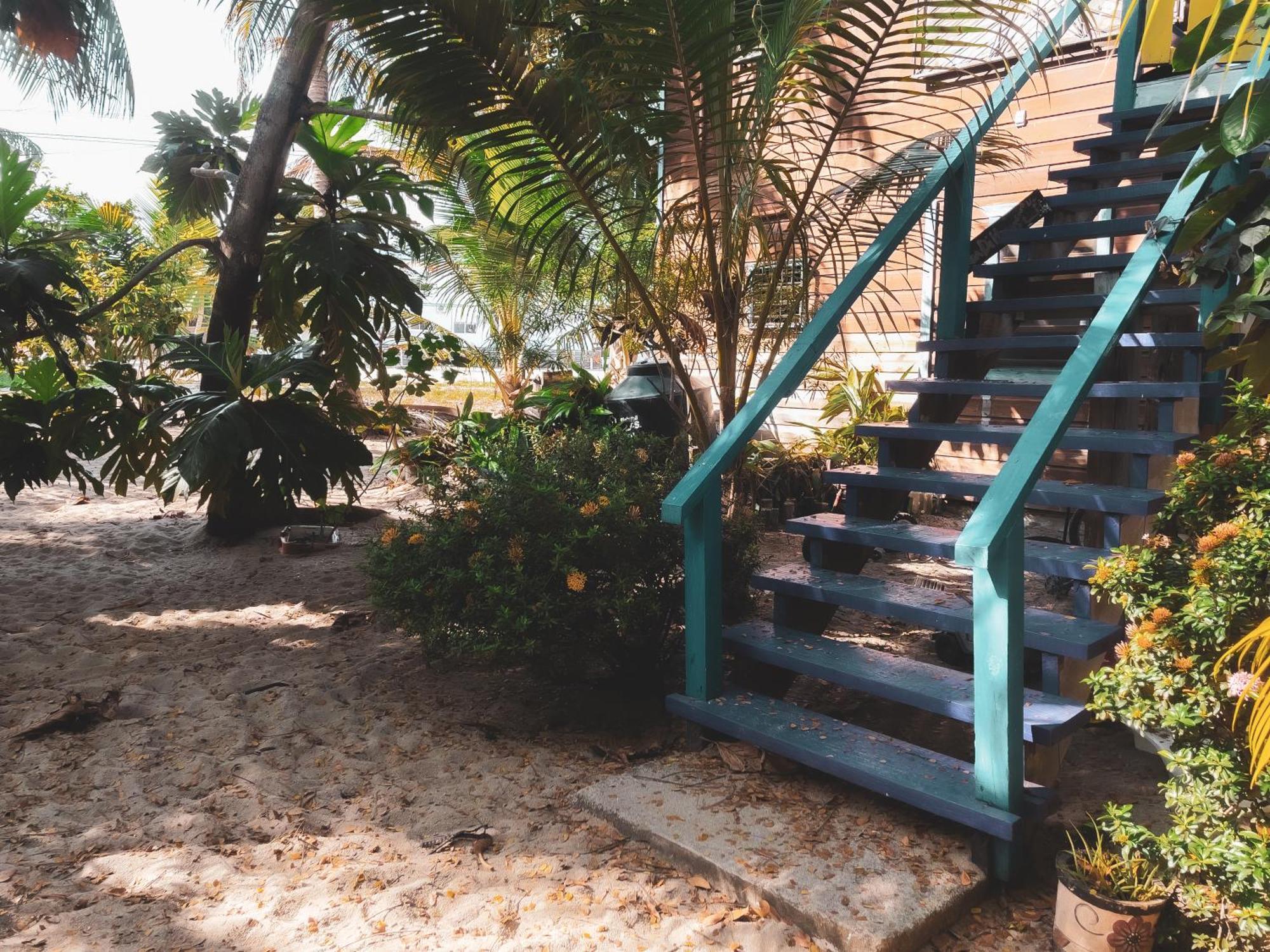 Anda Di Hows Hostel Placencia Εξωτερικό φωτογραφία