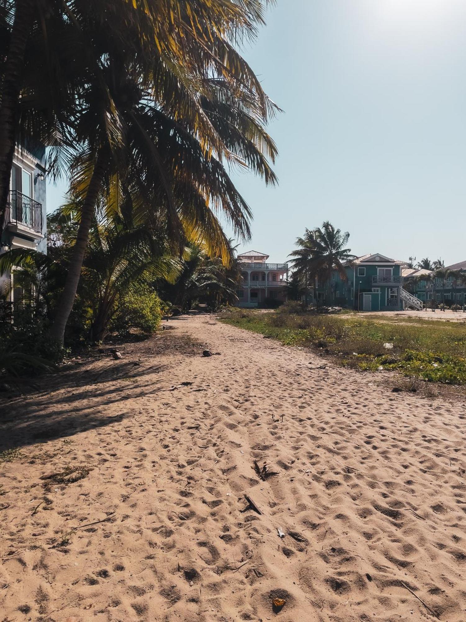 Anda Di Hows Hostel Placencia Εξωτερικό φωτογραφία