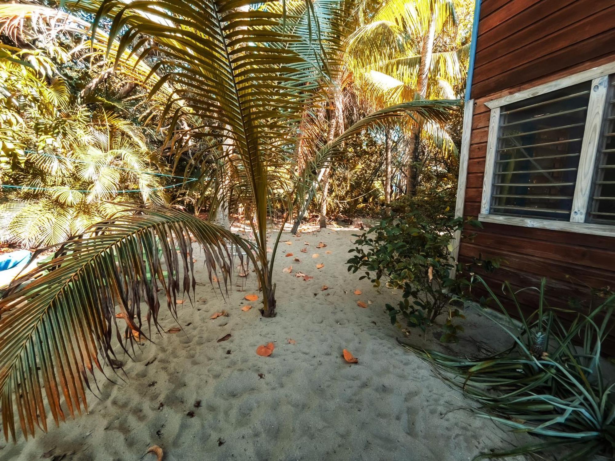 Anda Di Hows Hostel Placencia Εξωτερικό φωτογραφία