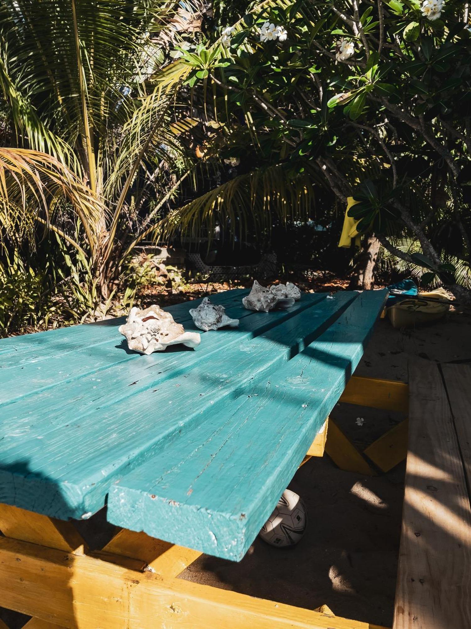 Anda Di Hows Hostel Placencia Εξωτερικό φωτογραφία