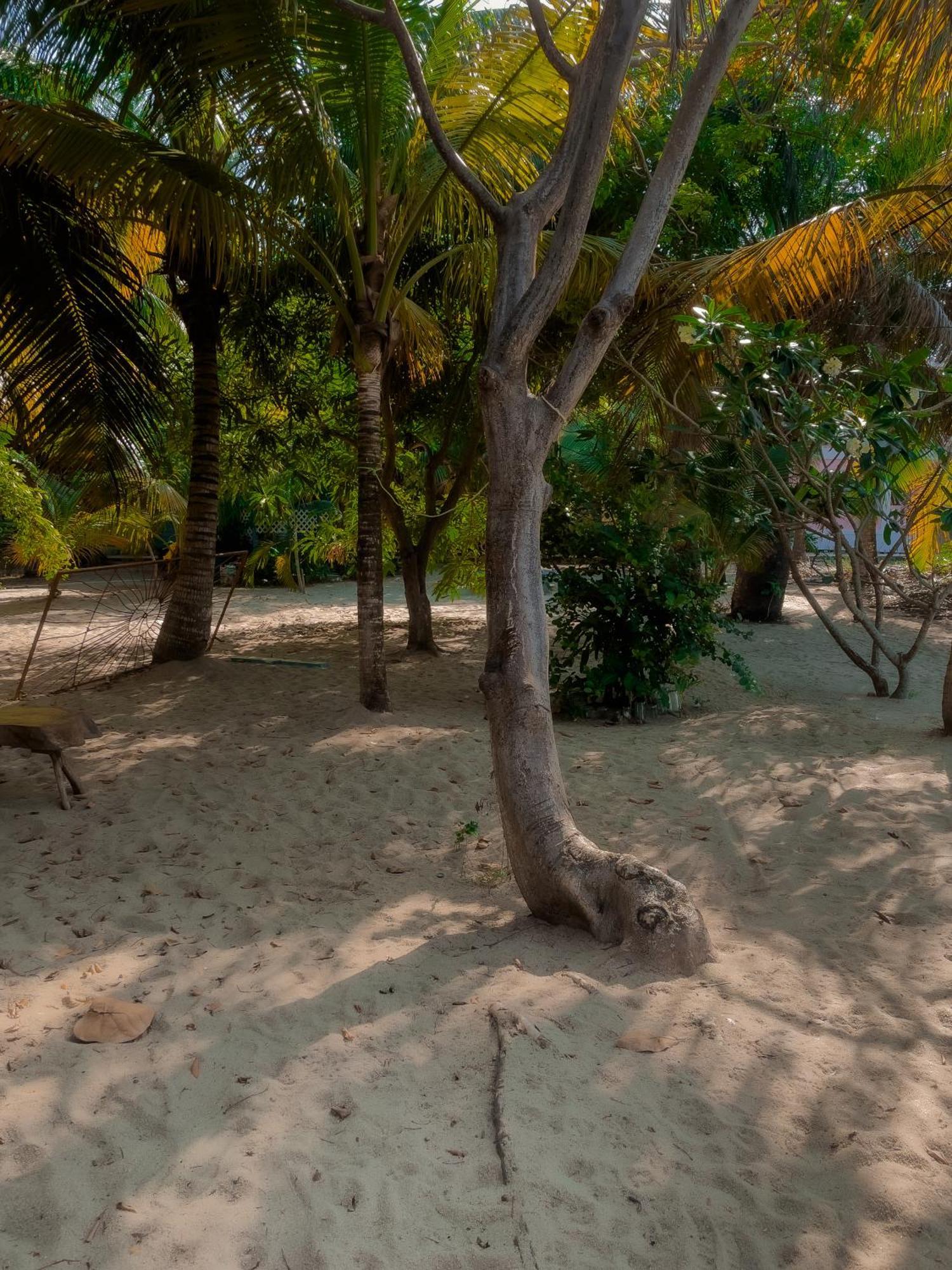 Anda Di Hows Hostel Placencia Εξωτερικό φωτογραφία
