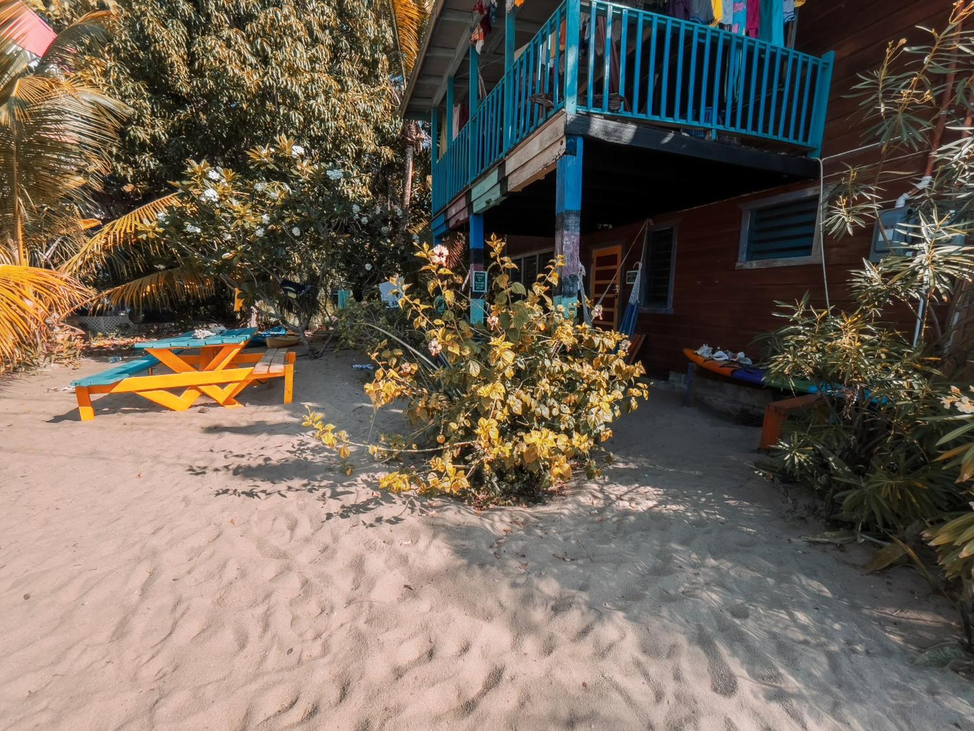Anda Di Hows Hostel Placencia Εξωτερικό φωτογραφία