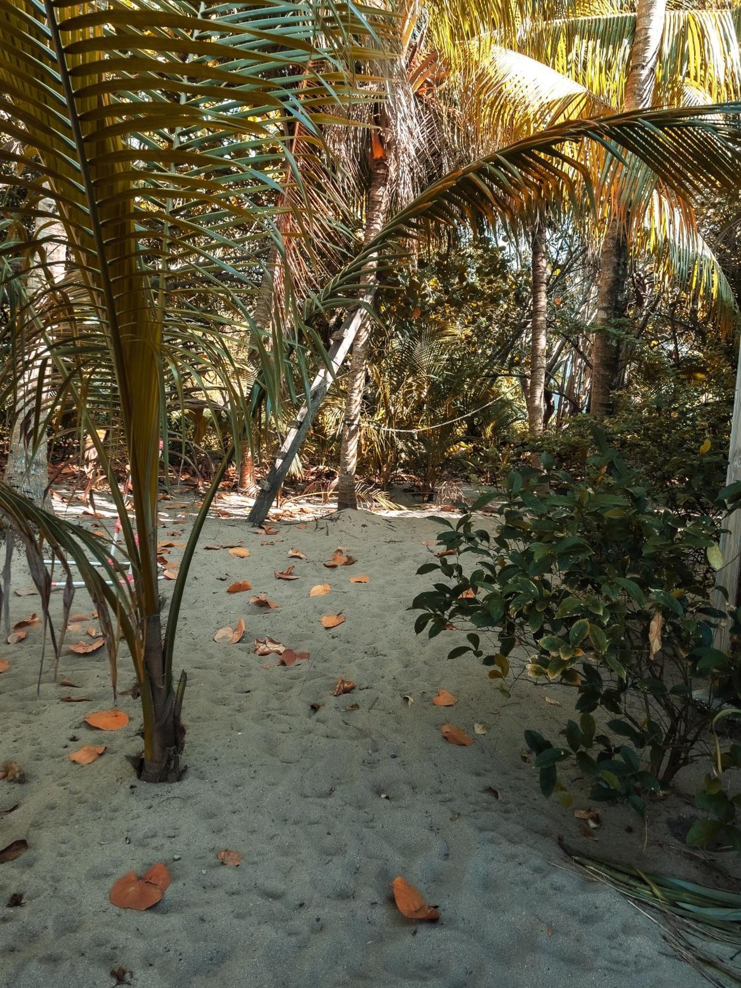 Anda Di Hows Hostel Placencia Εξωτερικό φωτογραφία