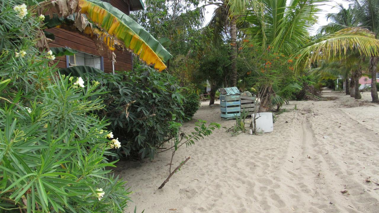 Anda Di Hows Hostel Placencia Εξωτερικό φωτογραφία
