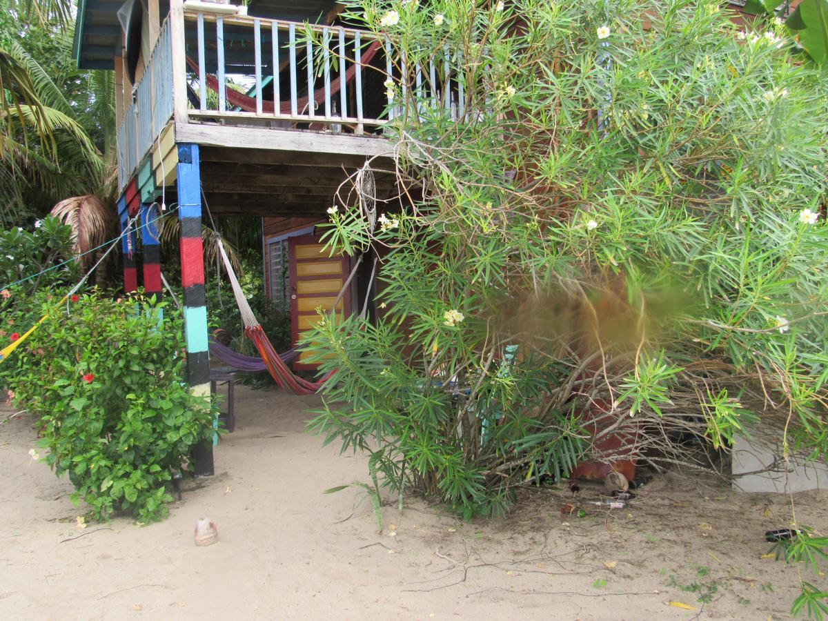 Anda Di Hows Hostel Placencia Εξωτερικό φωτογραφία